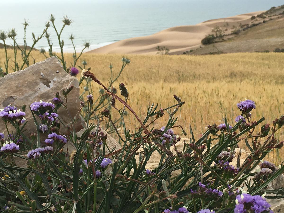 Auberge De La Plage Sidi Kaouki Esterno foto